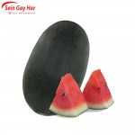 Fresh Watermelon (Small)