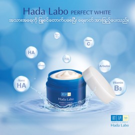 Hada Labo Perfect White Arbutin Cream 50g